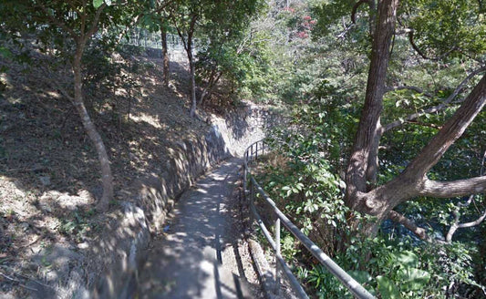 Hong Kong Trail - Section 7 - The Trail