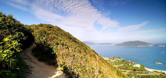 Hong Kong Trail - Section 8 - Dragon's Back