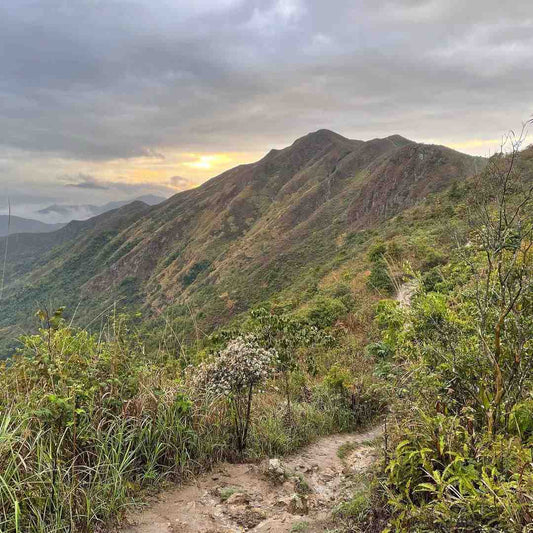 The Wilson Trail: A Runner's Guide