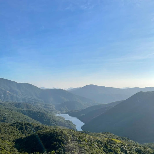 Wilson Trail - Hong Kong - Violet Hill