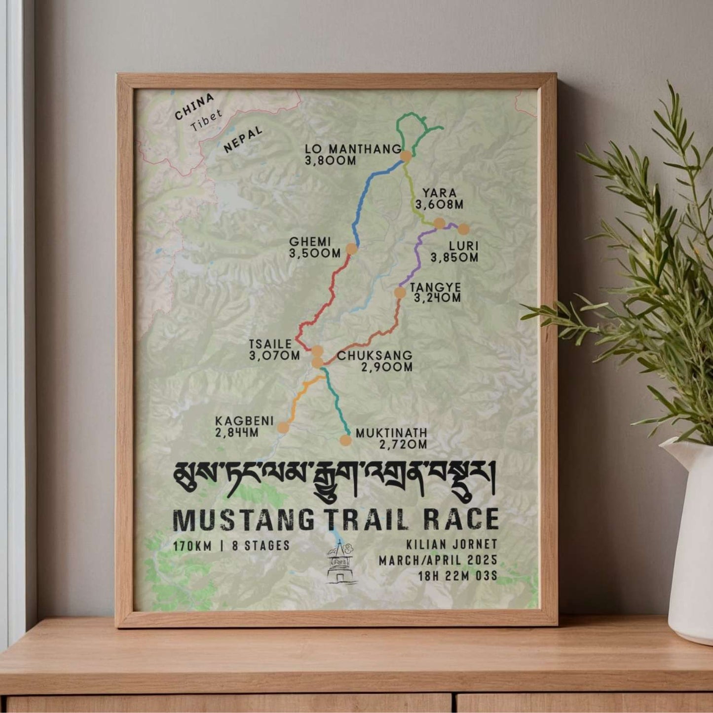 Mustang Trail Race Poster