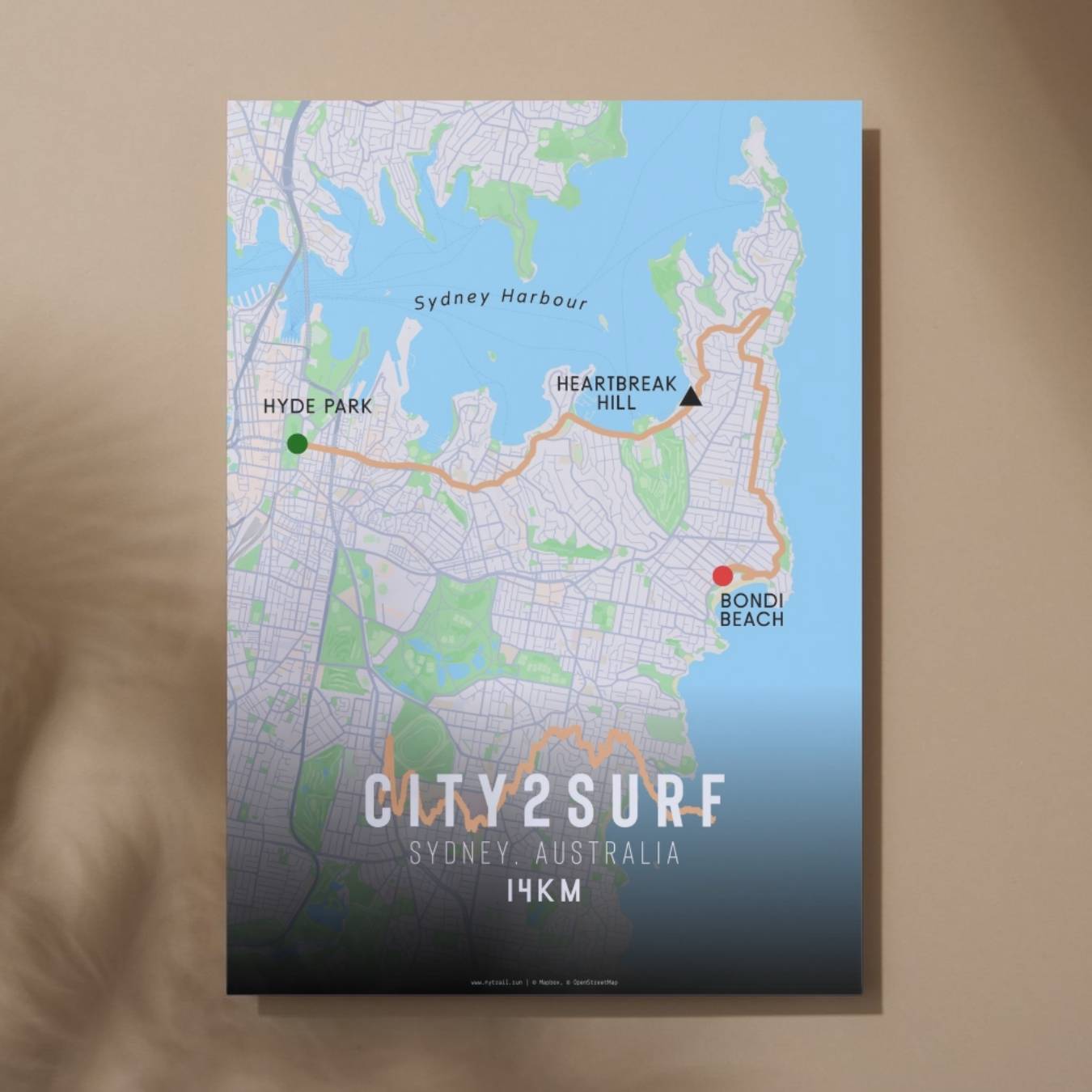 City2Surf Poster