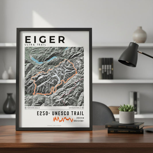 Framed poster of e250 eiger ultra trail light bookshelf