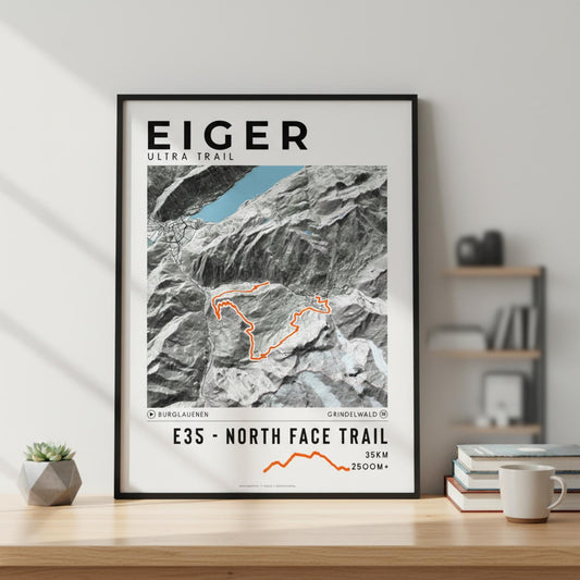 Framed poster of e35 eiger ultra trail light bookshelf
