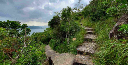 Hong Kong Trail - Section 2
