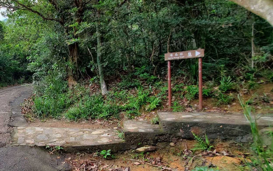 Hong Kong Trail - Section 3 - Signboard to Wan Chai Gap