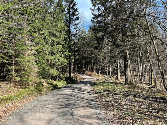 GutsMuths Rennsteiglauf: Complete Guide to Germany's Iconic Trail Run