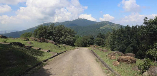 MacLehose Trail - Section 7 - Grassy Hill with Tai Mo Shan in the background