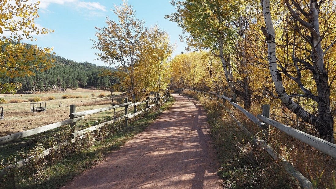 The Mickelson Trail: Discover South Dakota's Premier Rails-to-Trails Adventure