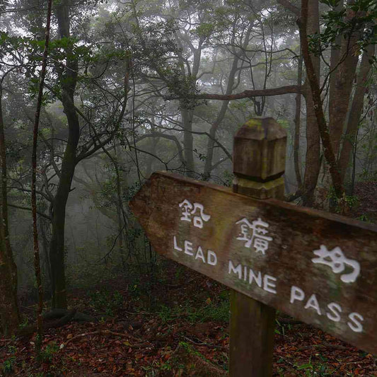 The Wilson Trail - Section 7: Shing Mun Reservoir to Yuen Tun Ha