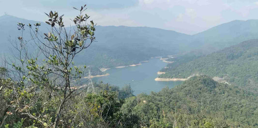 The Wilson Trail - Section 6: Tai Po Road to Shing Mun Reservoir