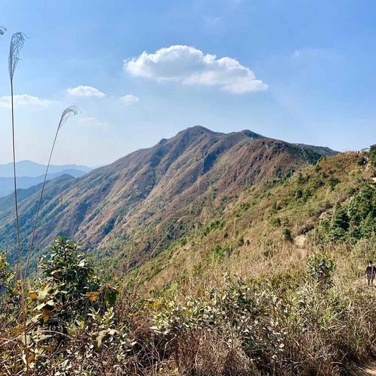 The Wilson Trail - Section 9: Cloudy Hill to Pat Sin Leng