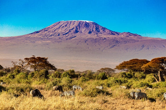 Mt Kilimanjaro Machame Route: The Ultimate Guide To Conquering Africa's Highest Peak