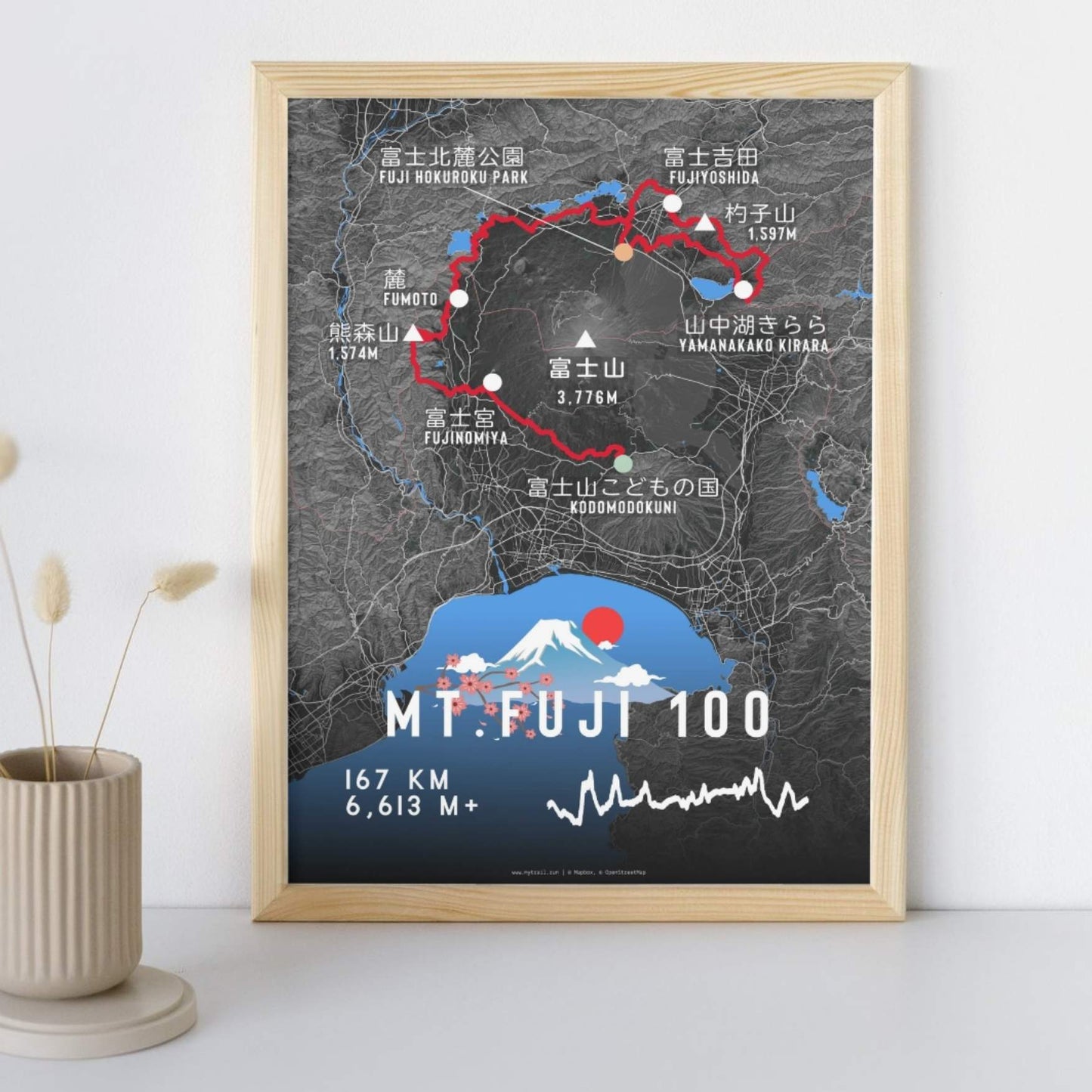 Mt. FUJI100 Race Poster