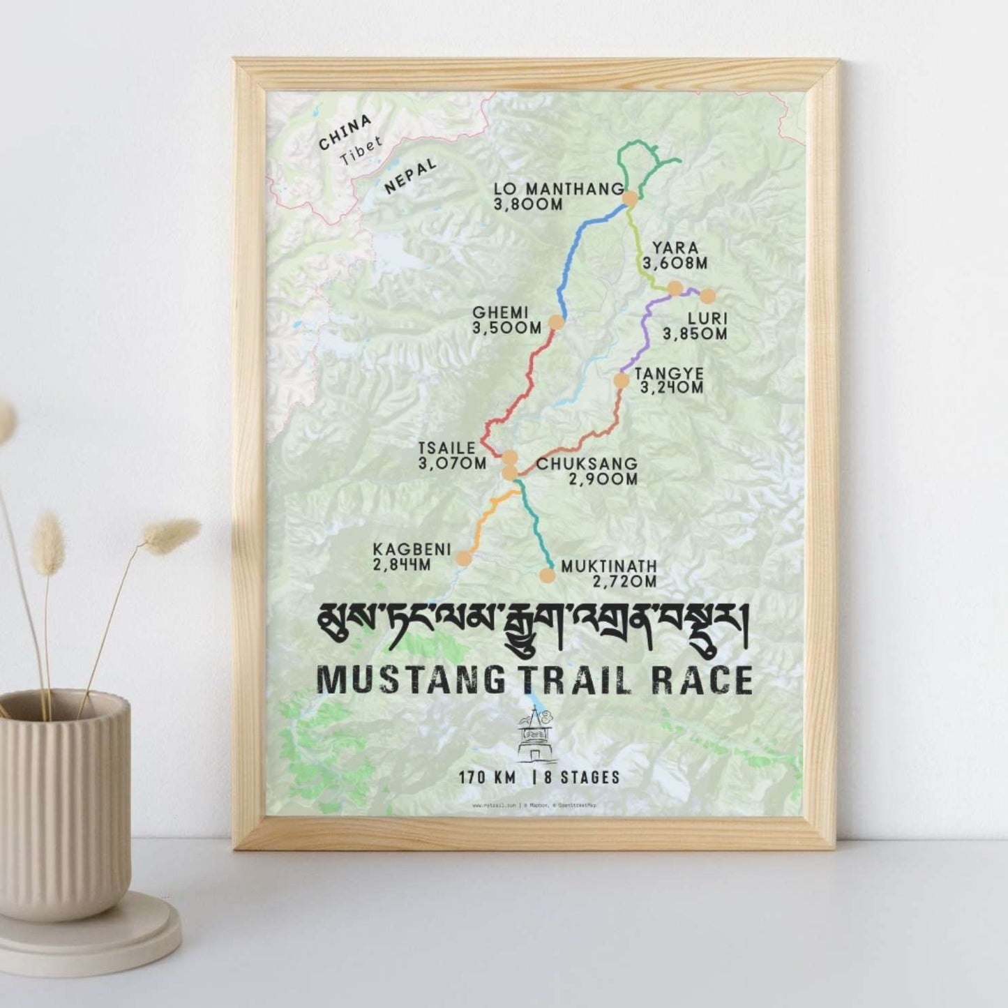 Mustang Trail Race Poster