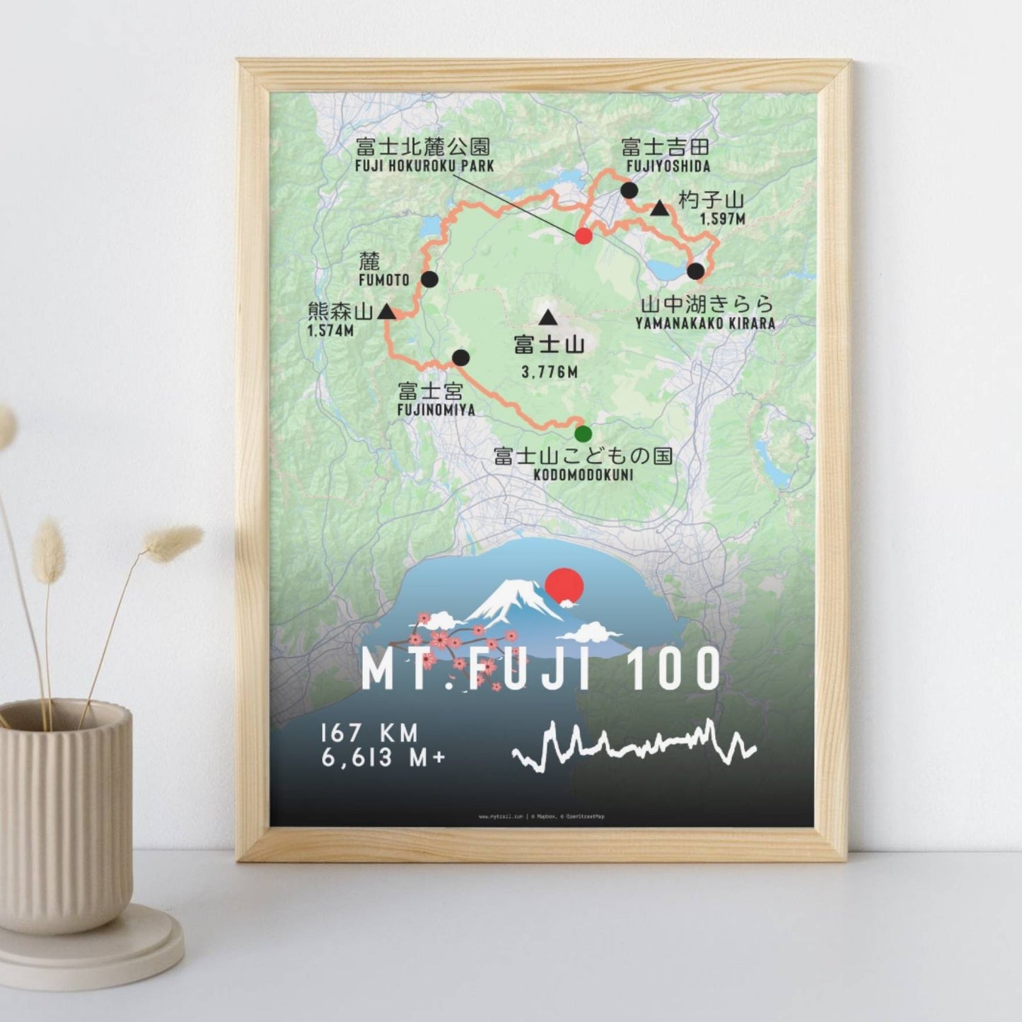 Mt. FUJI100 Race Poster