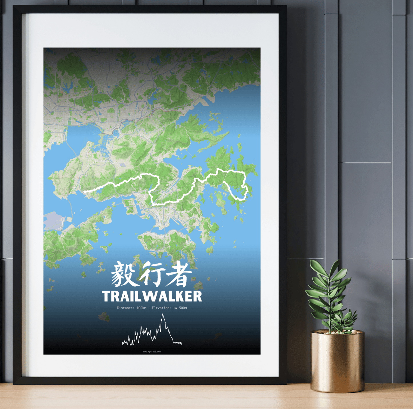 Hong Kong Oxfam Trailwalker | 樂施毅行者 | Poster