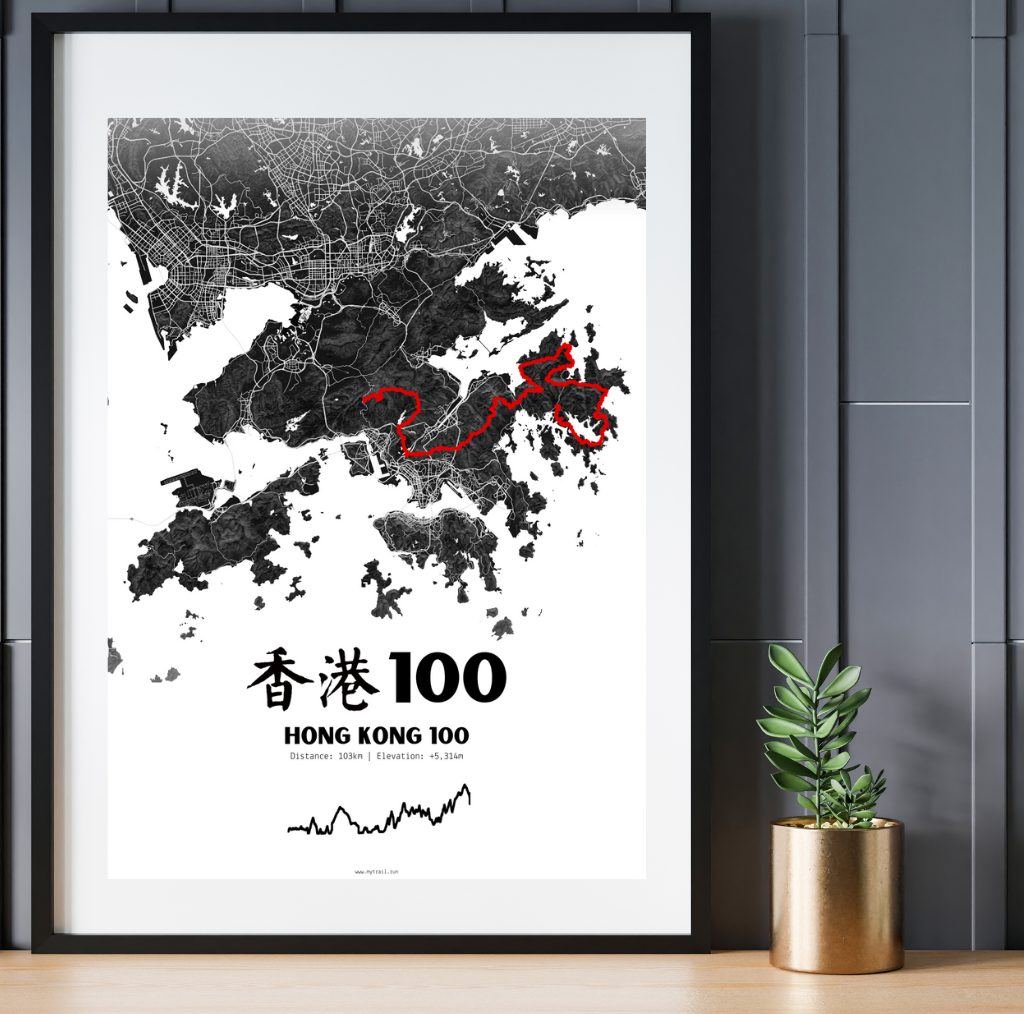 Hong Kong 100 - 香港100 | Race Poster