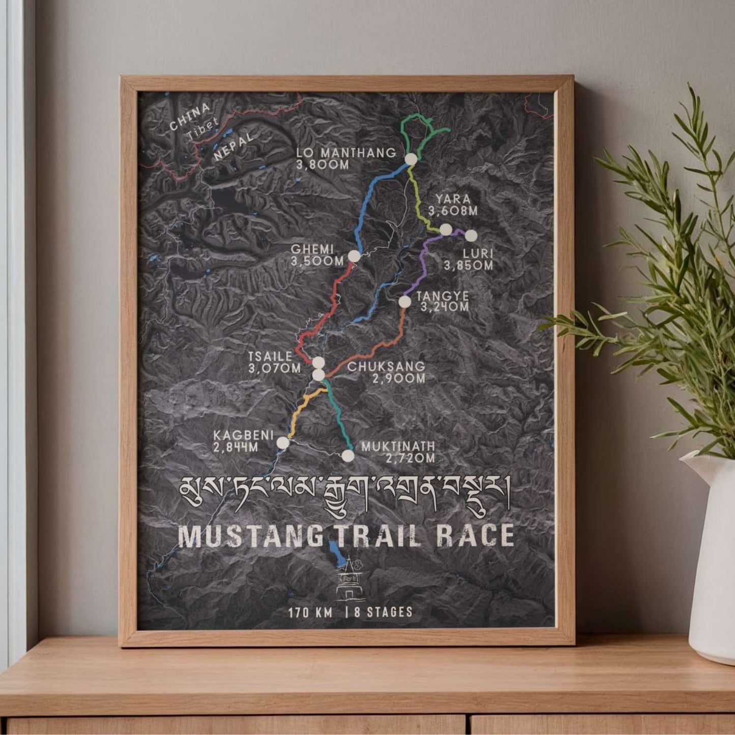 Mustang Trail Race Poster