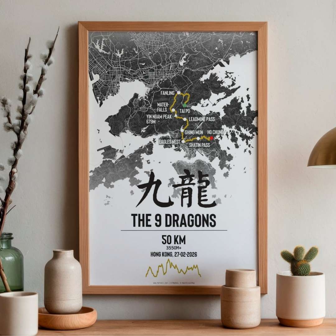 9 Dragons - The 50 Kilometres Race Poster