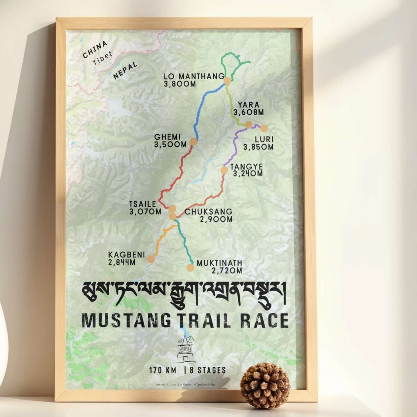 Mustang Trail Race Poster