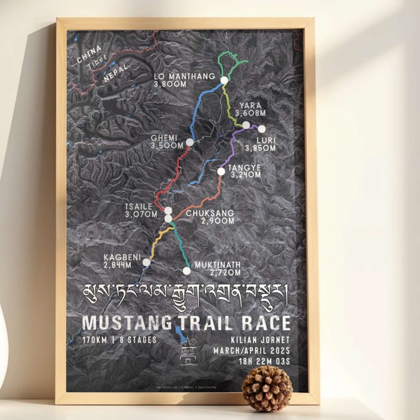 Mustang Trail Race Poster
