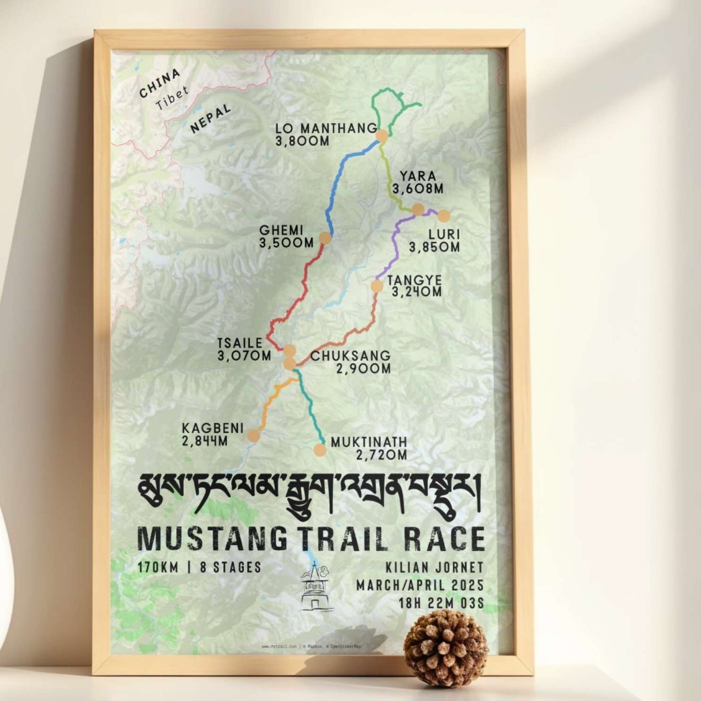 Mustang Trail Race Poster