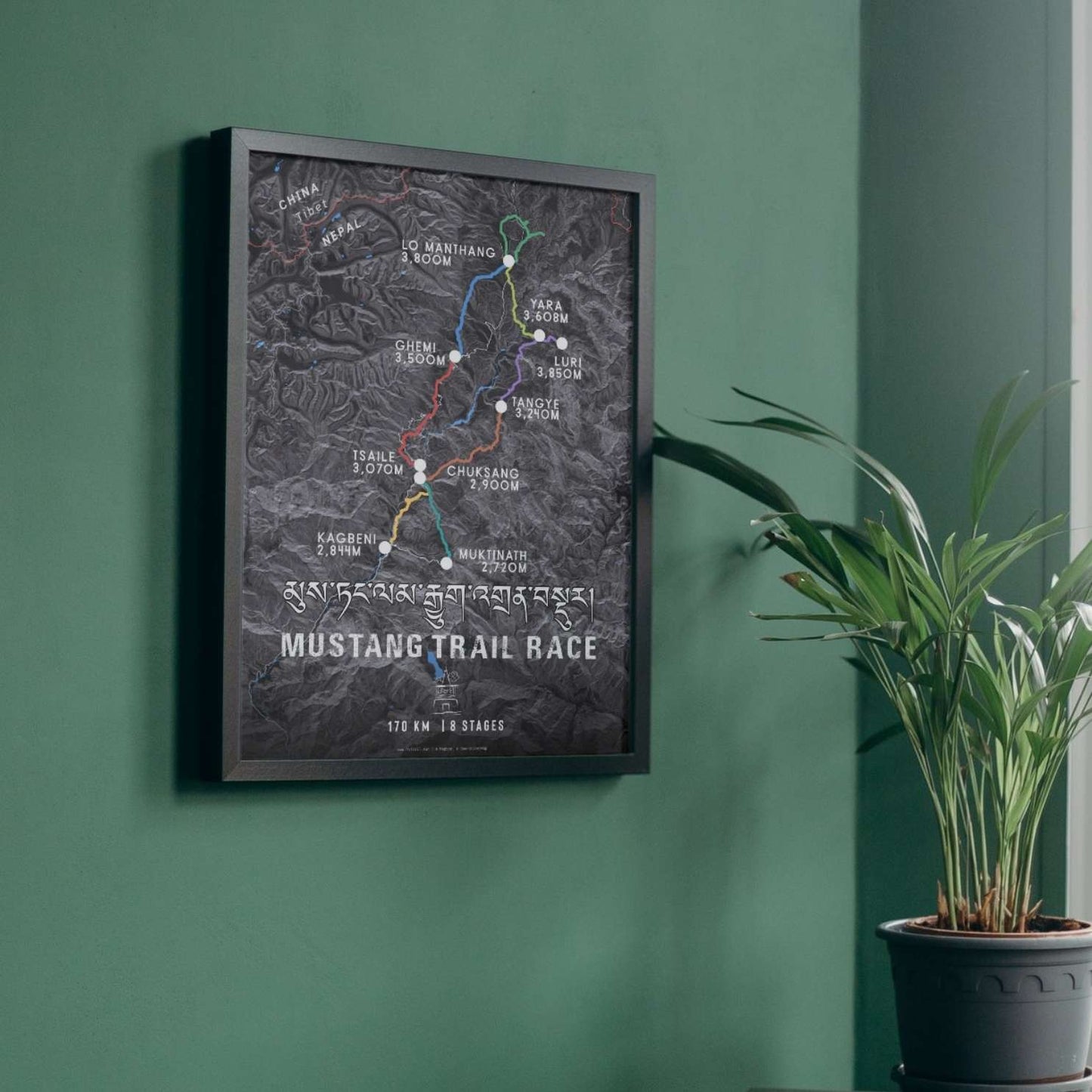 Mustang Trail Race Poster