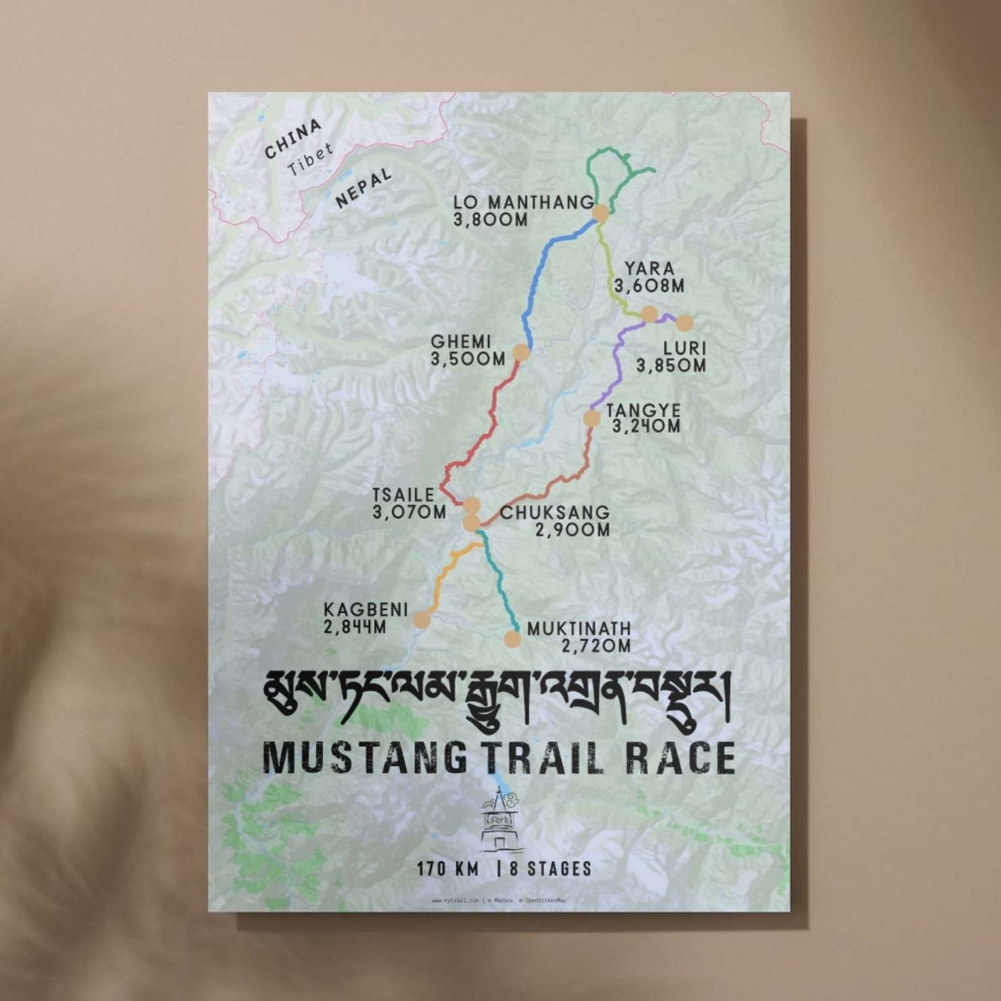 Mustang Trail Race Poster