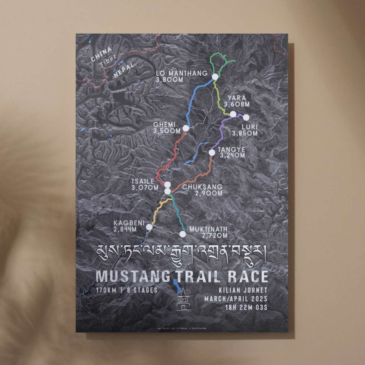 Mustang Trail Race Poster