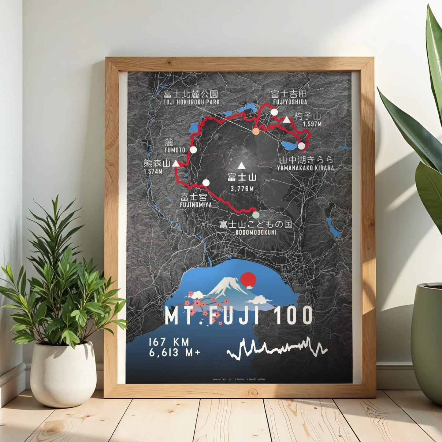 Mt. FUJI100 Race Poster