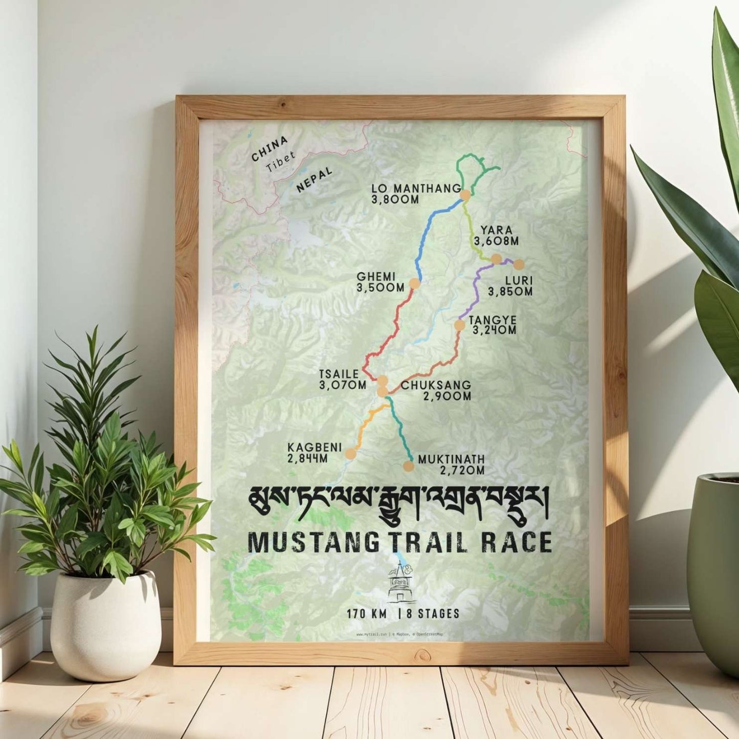 Mustang Trail Race Poster
