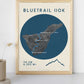 Tenerife Bluetrail 110k - Race Poster - Course Map
