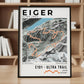 Framed poster of e101 eiger ultra trail light bookshelf